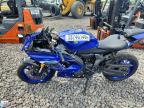 2025 Yamaha YZFR7