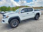 2023 Toyota Tacoma TRD OFF-Road