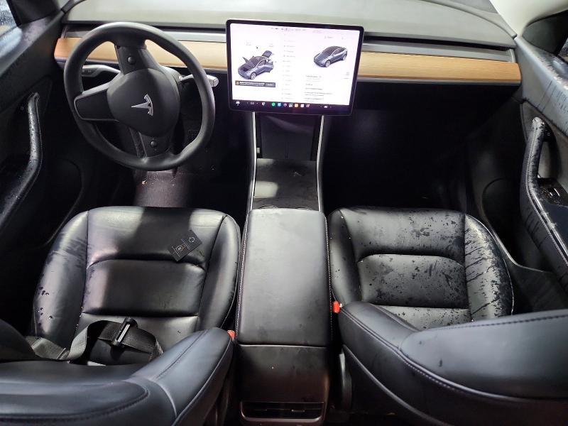 2020 Tesla Model  y