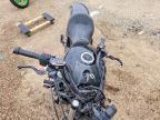 2020 Kawasaki EN650 D
