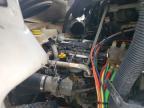 2019 Freightliner Cascadia 116 BOX Truck