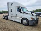 2020 Freightliner Cascadia 126