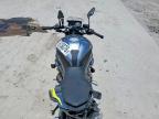 2024 BMW S 1000 R