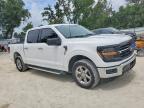 2025 Ford F150 XLT