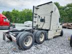 2019 Freightliner Cascadia 125 Semi Truck