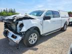 2025 Ford F150 XLT