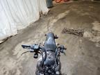 2014 Harley-Davidson Fxdb Dyna Street BOB