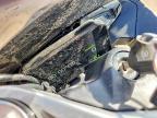 2025 Cf Moto 675SS