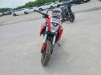 2017 Benelli TNT600