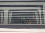 2021 Dutchmen Dutchman Travel Trai