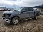 2025 Ford F150 XLT