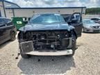 2023 Toyota Tundra Platinum HV