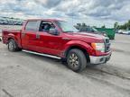 2013 Ford 150