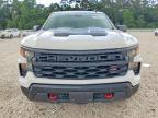 2024 Chevrolet Silverado K1500 Trail Boss Custom