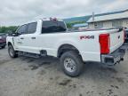 2023 Ford F-250 Super Duty