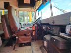 2003 International 3800 School Bus