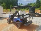 2010 Ezgo Rebel Golf Cart