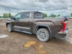 2022 Toyota Tundra 1794 Edition HV