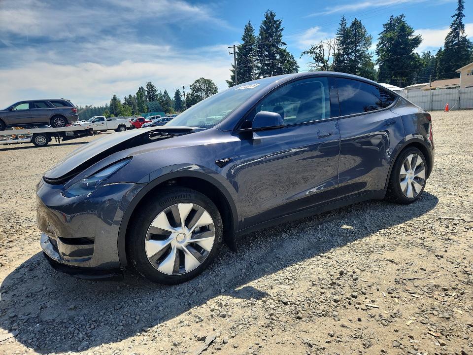 2023 Tesla Model  y