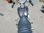 1985 Harley-Davidson Fxef