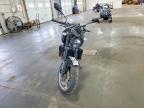 2026 Triumph Trident 800