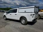 2024 Ford F150 XL