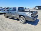 2008 Dodge Dakota SXT