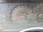 1988 Toyota Pickup Base