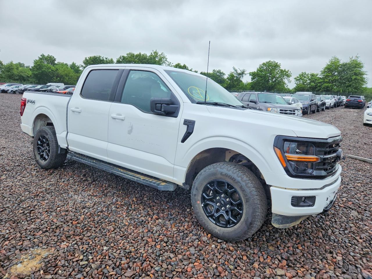 2025 Ford F150 XLT