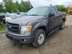 2013 Ford F150