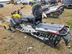 2025 Skidoo Expedition Sports