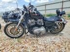 2007 Harley-Davidson XL883 L