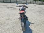 2025 Ducati Monster