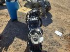 2025 Cf Moto 675SS