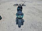 2024 Triumph Motrcycle