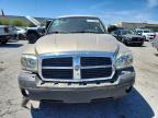 2005 Dodge Dakota Quad SLT