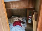2015 Coachmen 2015 Forest River Apex Camper