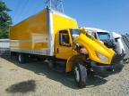 2024 International MV607 BOX Truck