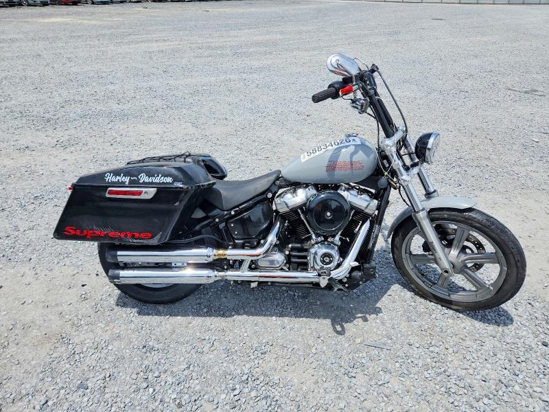 2024 Harley-Davidson Fxst