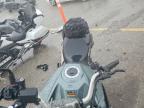 2024 Suzuki DL800 RQ