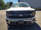 2025 Ford F150 XLT