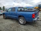 2006 Dodge Dakota Quattro