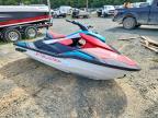 2025 Yamaha Waverun 3