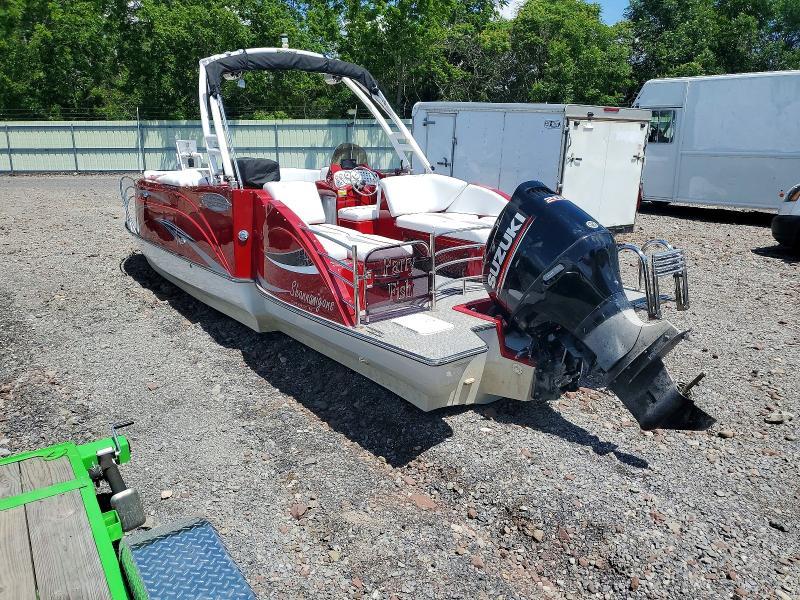 2019 Caravelle Caravelle