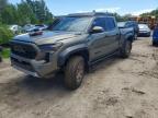 2025 Toyota Tacoma TRD Sport HV