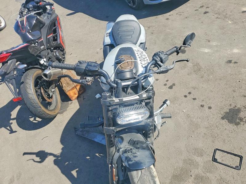 2024 Harley-Davidson RH1250 S