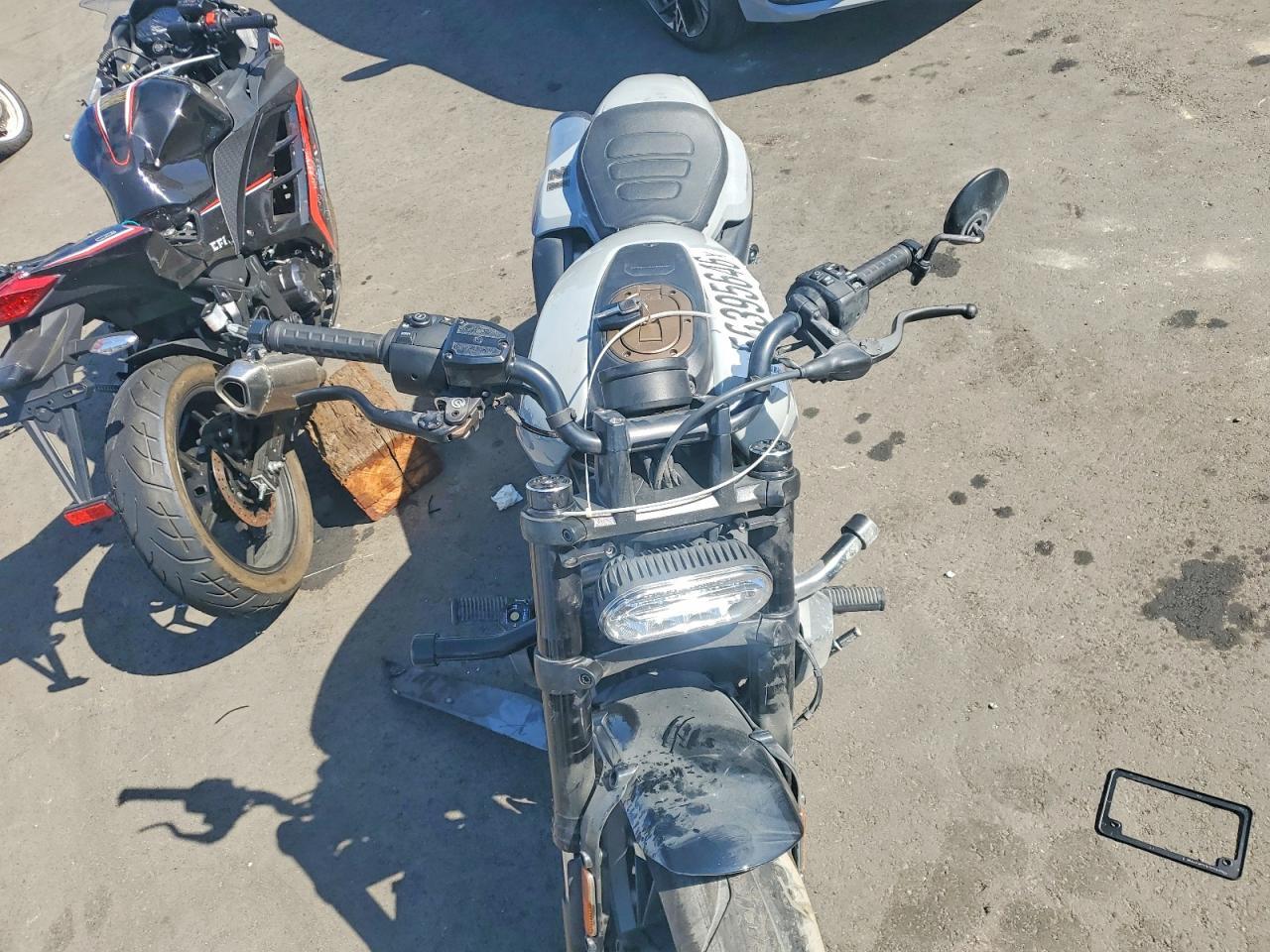 2024 Harley-Davidson RH1250 S