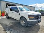 2024 Ford F150 XL
