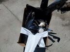 2006 Yamaha YZFR6 L