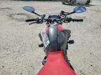 2025 Ducati Monster
